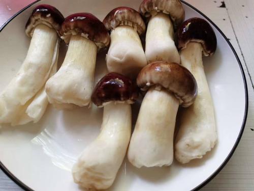 如何加工大球盖菇