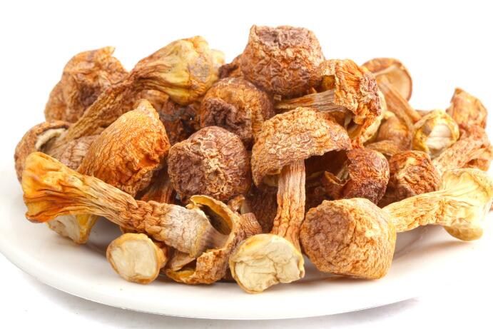 优质姬松茸干品的加工技术