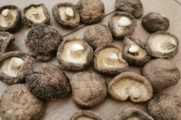 信邦解读食用菌物理贮藏方法